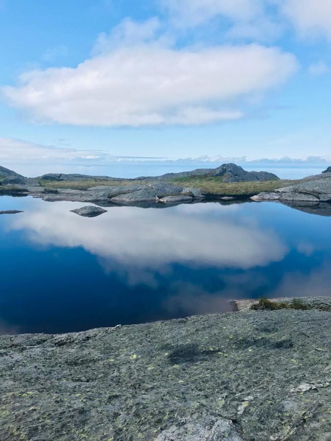 Somna Kro & Gjestegard Vik  Esterno foto
